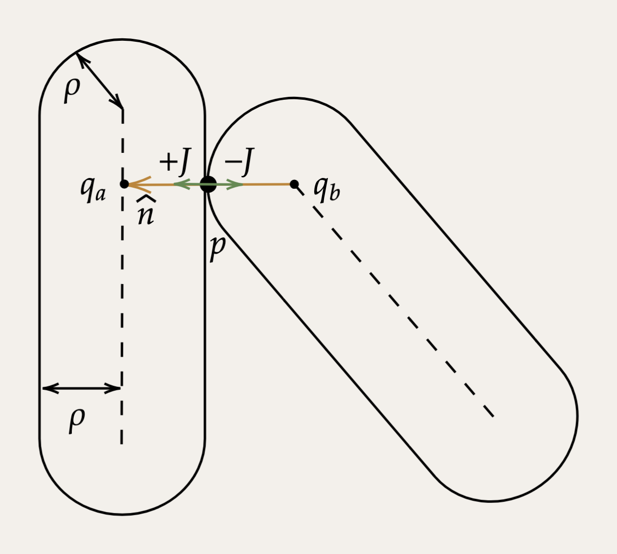 Two capsule hulls touching: closest points q_a and q_b on the centerlines, contact point p, contact normal n-hat, equal and opposite impulses +J and -J, capsule radius rho